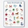 Fitto Sea Animals Educational Stickers for Kids – Ocean Animal Stickers for Preschool, Classroom Rewards & Learning Activities
