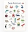 Fitto Sea Animals Educational Stickers for Kids – Ocean Animal Stickers for Preschool, Classroom Rewards & Learning Activities