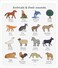 Fitto Wild Animals Educational Stickers for Kids - Self-Adhesive Animal Stickers for Preschool, Classroom Rewards, Scrapbook & Learning