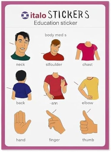 Fitto Body Parts Stickers for Kids - Educational Human Anatomy Stickers, Self-Adhesive Classroom &amp; Preschool Learning Labels, Waterproof Sticker Set