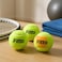 Fitto Set of 3 Light Green Tennis Balls - High-Performance Durable Balls for All Court Surfaces