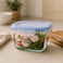 Fitto Square Glass Storage Food Container 400ml