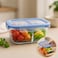 Fitto Glass Storage Food Container with Full Divider, 1500ml