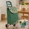 Fitto Fancy Shopping Trolley with Wheels, Green Leaf Design, 36L Carbon Steel