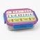 Fitto Insulated Stainless Steel Lunch Box for Kids with Cartoon Design