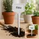 Fitto White Plastic Garden Plant Markers - 6 Pcs Labeling Stakes