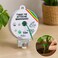 Fitto Twist Tie Dispenser with Green Twist Tie Roll - 50 Meters for Securing Plants and Cables
