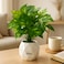 Fitto Artificial Potted Pothos Plant in Geometric White Pot for Indoor Decor
