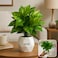 Fitto Artificial Potted Pothos Plant in Geometric White Pot for Indoor Decor