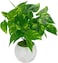 Fitto Artificial Potted Pothos Plant in Geometric White Pot for Indoor Decor
