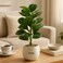 Fitto Artificial Potted Rubber Plant in Textured White Pot with Decorative Stones
