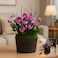 Fitto Purple Flower Arrangement with Yellow Centers in Decorative Wood-Look Pot