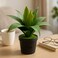 Fitto Small Artificial Plant with Long Green Leaves in Black Pot