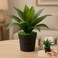 Fitto Small Artificial Plant with Long Green Leaves in Black Pot