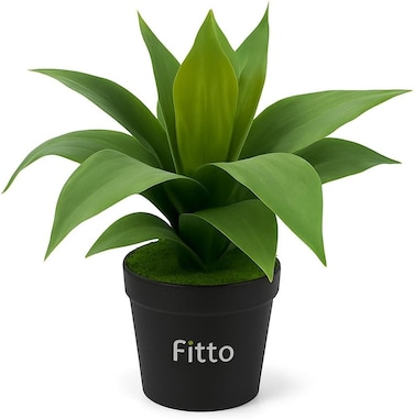 Fitto Small Artificial Plant with Long Green Leaves in Black Pot