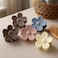 Fitto Korean Style Matte Flower Hair Clutcher Clips for Women, Pack of 5, Assorted Colors