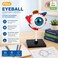FITTO 3D Human Eyeball Anatomy Model with Display Stand, Educational Biology and Science Study Aid for Classroom, Lab and Desk Display