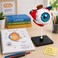 FITTO 3D Human Eyeball Anatomy Model with Display Stand, Educational Biology and Science Study Aid for Classroom, Lab and Desk Display