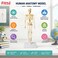 FITTO Human Skeleton Anatomy Model with Display Stand, Educational Biology Study Aid for Classroom, Clinic and Home Study