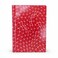 FITTO A6 Hard-Cover Notebook, Red Single-Line Pages, 8 mm Ruled, 100 Sheets