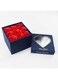 THE GIFT FACTORY "" Red Eternal Roses with Secret Compartment Jewelry Box