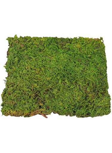 YATAI Natural Preserved Dried Moss Grass For Orchids Flowers Artificial Plants Landscaping Decor Moss Grass For Hanging Basket Background Wall Decoration Items Festival Ornaments (Light Green)