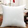 2 Pcs Stripe Hotel Cushion Filler 90 GSM outer fabric, 400 grams with Microfiber filling, Size: 30 x 50, White