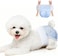 Disposable Dog Diapers, Soft Absorbent Puppy Diapers for Female Dogs, Elastic Waist Diapers for Heat Period and Excitable Urination, Reusable and Leak-Proof (10PCS, Size: S)