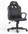 Apex Champ Gaming Chair - Gray Edition