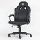 Apex Champ Gaming Chair - Gray Edition
