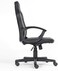 Apex Champ Gaming Chair - Gray Edition