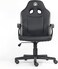 Apex Champ Gaming Chair - Gray Edition