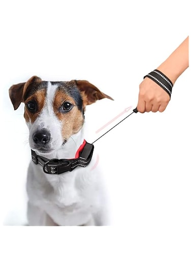 Mumoo Bear 2 In 1 Retractable Leash, Telescopic Pet Dog Collars Traction Rope Leads With Reflective Design For Daily Walking Training Running