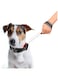 Mumoo Bear 2 In 1 Retractable Leash, Telescopic Pet Dog Collars Traction Rope Leads With Reflective Design For Daily Walking Training Running