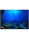 Durable Poster Background Waterproof 91 X 41Cm Self-Adhesive for Aquarium(61 * 41cm)