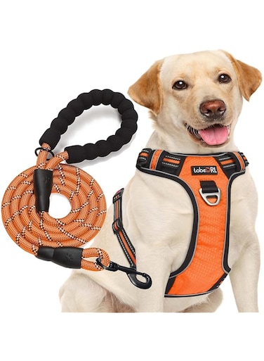 tobeDRI No Pull Dog Harness Adjustable Reflective Oxford Easy Control Medium Large Dog Harness with A Free Heavy Duty 5ft Dog Leash (XL (Chest: 31"-39"), Orange Harness+Leash)