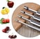 4PCS Set Multi-Function Fruit Corer &amp; Pitter Remover, Apple, Pear, Cherry, Jujube &amp; Red Date Corer  Easy Core Remover for Kitchen Baking &amp; Fruit Prep  Durable Rust-Resistant Design