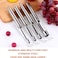 4PCS Set Multi-Function Fruit Corer &amp; Pitter Remover, Apple, Pear, Cherry, Jujube &amp; Red Date Corer  Easy Core Remover for Kitchen Baking &amp; Fruit Prep  Durable Rust-Resistant Design