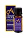 Absolute Aromas Organic Rosemary Essential Oil 10ml - Pure, Natural, Undiluted, Cruelty Free and Vegan for Aromatherapy, Diffusers, Hair Skincare