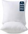 Throw Pillows Insert (Pack of 2, White) - 20 x 20 Inches Bed and Couch Pillows - Indoor Decorative Pillows