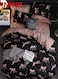 Bedding Set Without Filler,3-Piece High Cotton Quality Bedding Set Duvet Cover