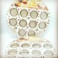 Non-Stick 12-Cup Muffin Pan   Heavy-Duty Carbon Steel Cupcake Baking Tray   Easy Release &amp; Dishwasher Safe   Perfect for Muffins, Cupcakes &amp; Baking Essentials
