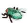 Terra By Battat RC Climbing Fly   Gravity-Defying Insect Toy Crawls On Walls, Floor &amp; Ceiling Powerful Suction Realistic Wings Legs Easy To Control 3 Modes Rechargeable Ages 5+