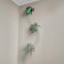 Terra By Battat RC Climbing Fly   Gravity-Defying Insect Toy Crawls On Walls, Floor &amp; Ceiling Powerful Suction Realistic Wings Legs Easy To Control 3 Modes Rechargeable Ages 5+