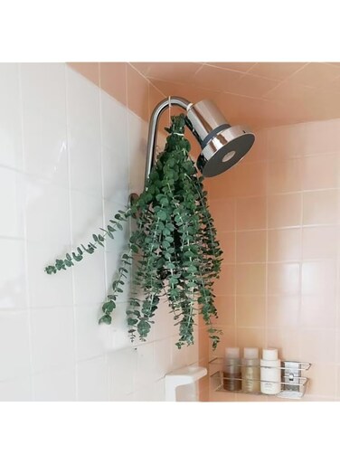 SWIUKPHE Dried Eucalyptus Stems for Shower, 10 Pcs 17 Inch Natural Fresh Eucalyptus Leaves Branches for Wedding Home Decor