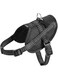 Bobby Easy Safe Harness Black XS