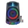 BT Portable 20W Party Speaker with Karaoke Mic, RGB Lights, Remote, and FM Radio Support

