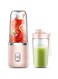 KOWVOWZ Mini juicer Blender for Smoothies, Portable Juicer Blender, Smoothie Maker to Go with 400 ml Bottle, USB Rechargeable Suitable for Families, Camping and Sports