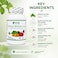 Viva Nutraceuticals Ginkgo Biloba 120mg Cognitive &amp; Brain Function Support 90 Tablets