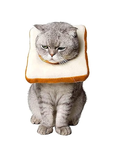 OOMYL Cat Cone Collar Soft Recovery Collar for Cats After Surgery, Adjustable Cat Neck Cones to Stop Licking for Cat/ Kitten/ Small Dog
